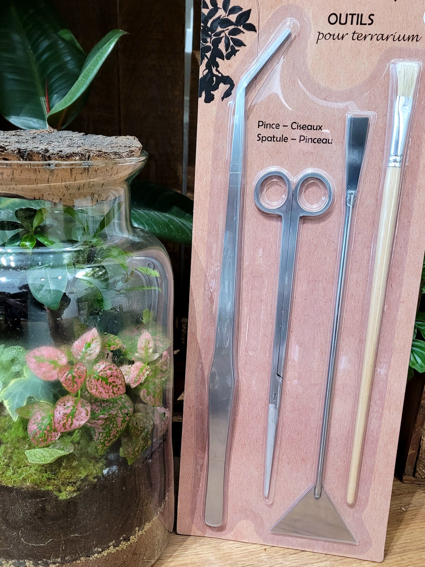 Kit d'accessoires pour Terrarium