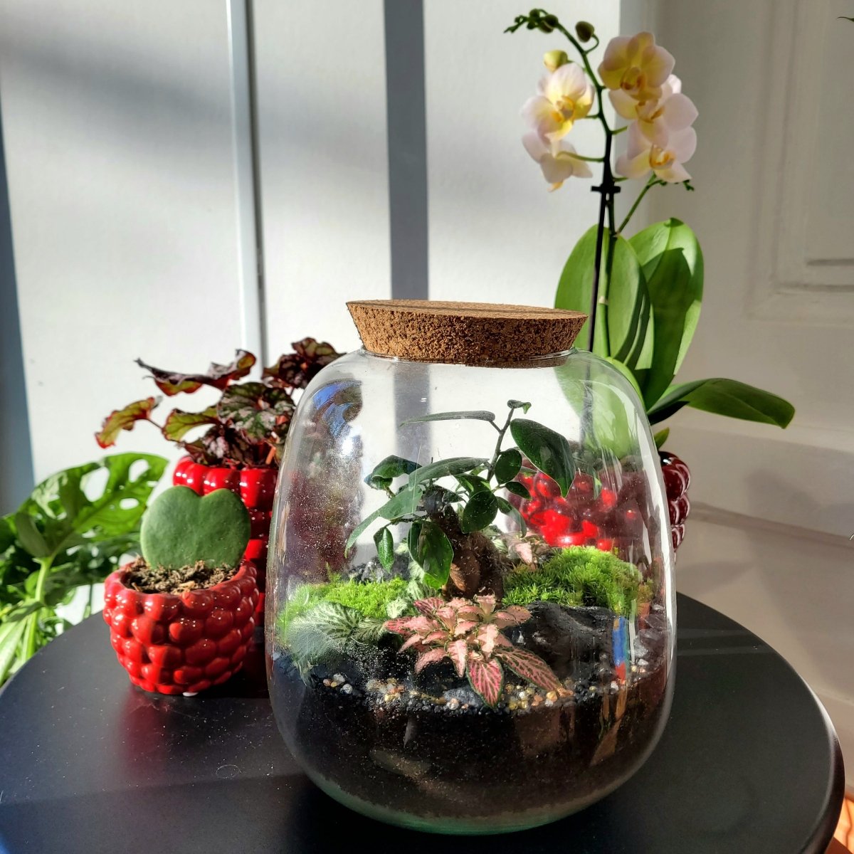 Atelier Terrarium Eden - Dimanche 27 Septembre 10h30-12h - shop_name artisanat Fait_main Fabriqué_en_france Création_unique