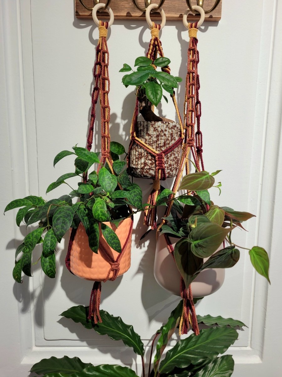 Macramé Sunset - shop_name artisanat Fait_main Fabriqué_en_france Création_unique