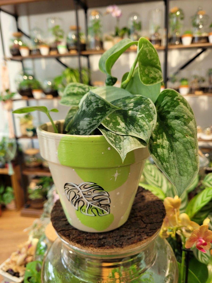Pot Edition limitée Monstera Variegata - MadeWithMyTentacles - shop_name artisanat Fait_main Fabriqué_en_france Création_unique