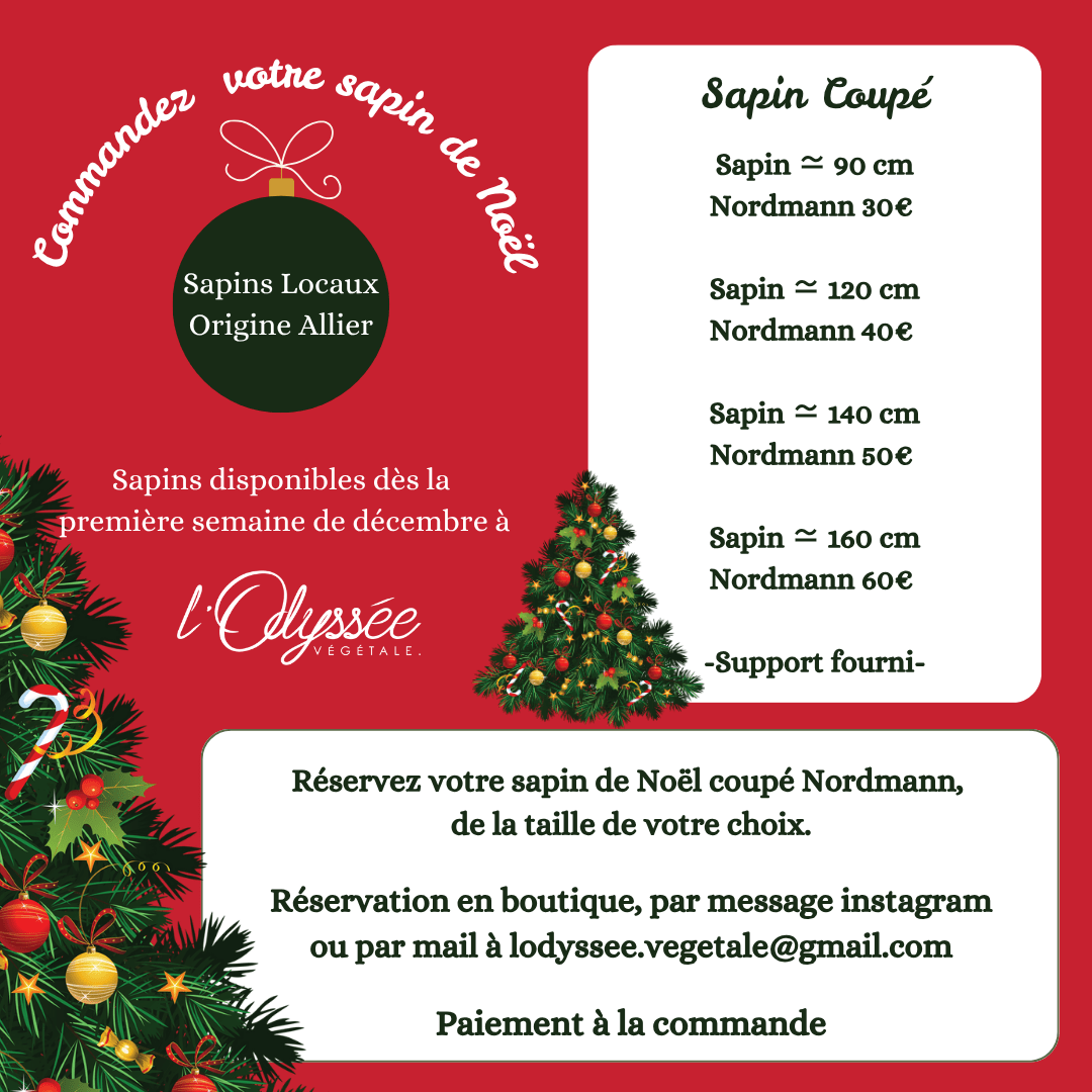 Réservez votre Sapin de Noël 🎄 - shop_name artisanat Fait_main Fabriqué_en_france Création_unique