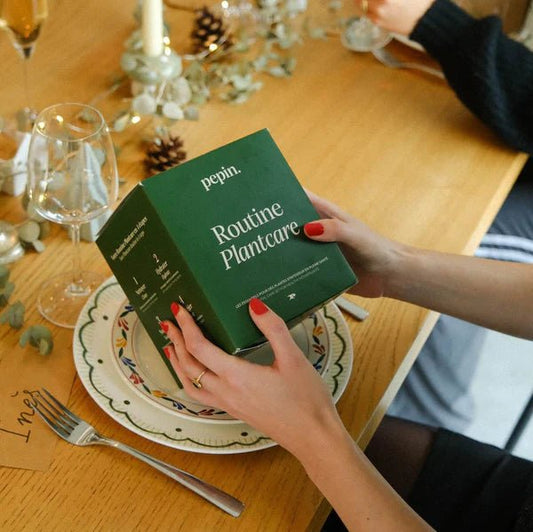 Routine Plantcare - Pepin - shop_name artisanat Fait_main Fabriqué_en_france Création_unique