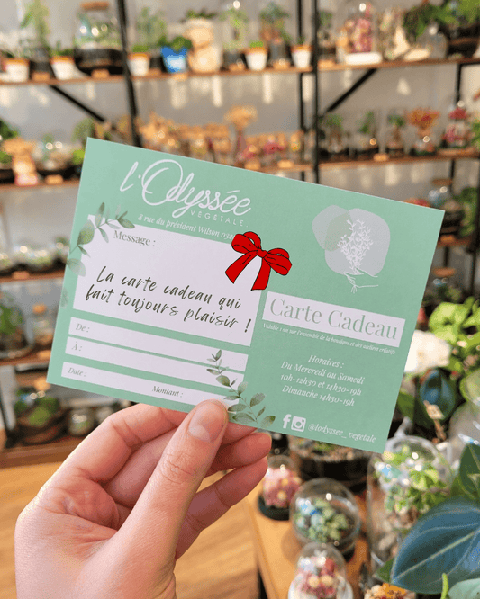 5 Idées cadeau pour un budget de 20€ 🎁 - L'Odyssée Végétale