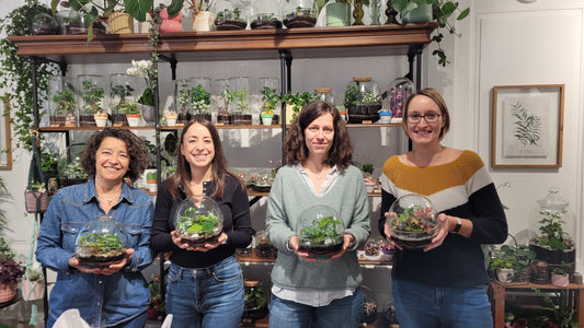 Ateliers groupes - L'Odyssée Végétale