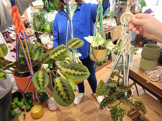 Les Ateliers créatifs de Mai - L'Odyssée Végétale