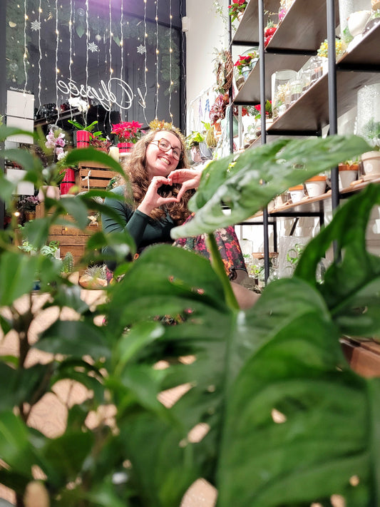 L'histoire de mon premier échec entrepreneurial ... - L'Odyssée Végétale