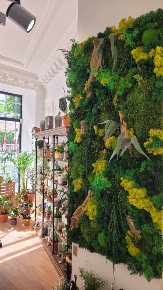 Murs Végétaux Stabilisés - L'Odyssée Végétale