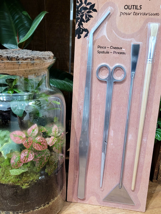 Kit d'accessoires pour Terrarium