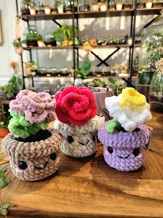Plante en Crochet - Hell of Persephone