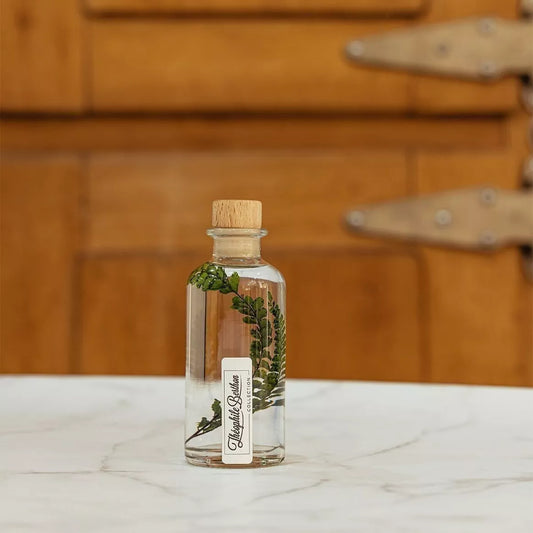L'Herbarium de Théophile - Fougère Felci verte - Plante immergée