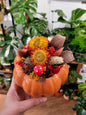 Citrouille fleurie