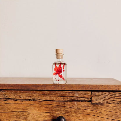 L'Herbarium de Théophile - Erable rouge