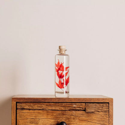 L'Herbarium de Théophile - Erable rouge