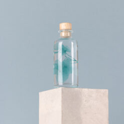 L'Herbarium de Théophile - Hortensia Bleu