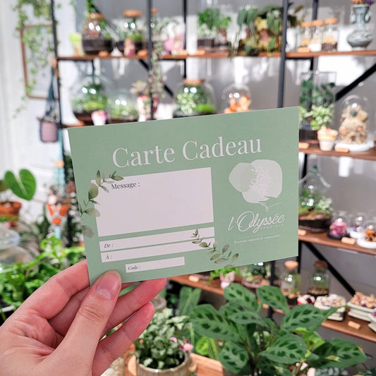 Carte cadeau