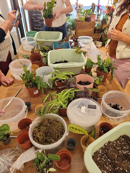 Atelier Bouturage - Samedi 12 Septembre 10h-11h30 - shop_name artisanat Fait_main Fabriqué_en_france Création_unique