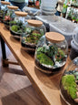 Atelier Terrarium Eden - Dimanche 27 Septembre 10h30-12h - shop_name artisanat Fait_main Fabriqué_en_france Création_unique
