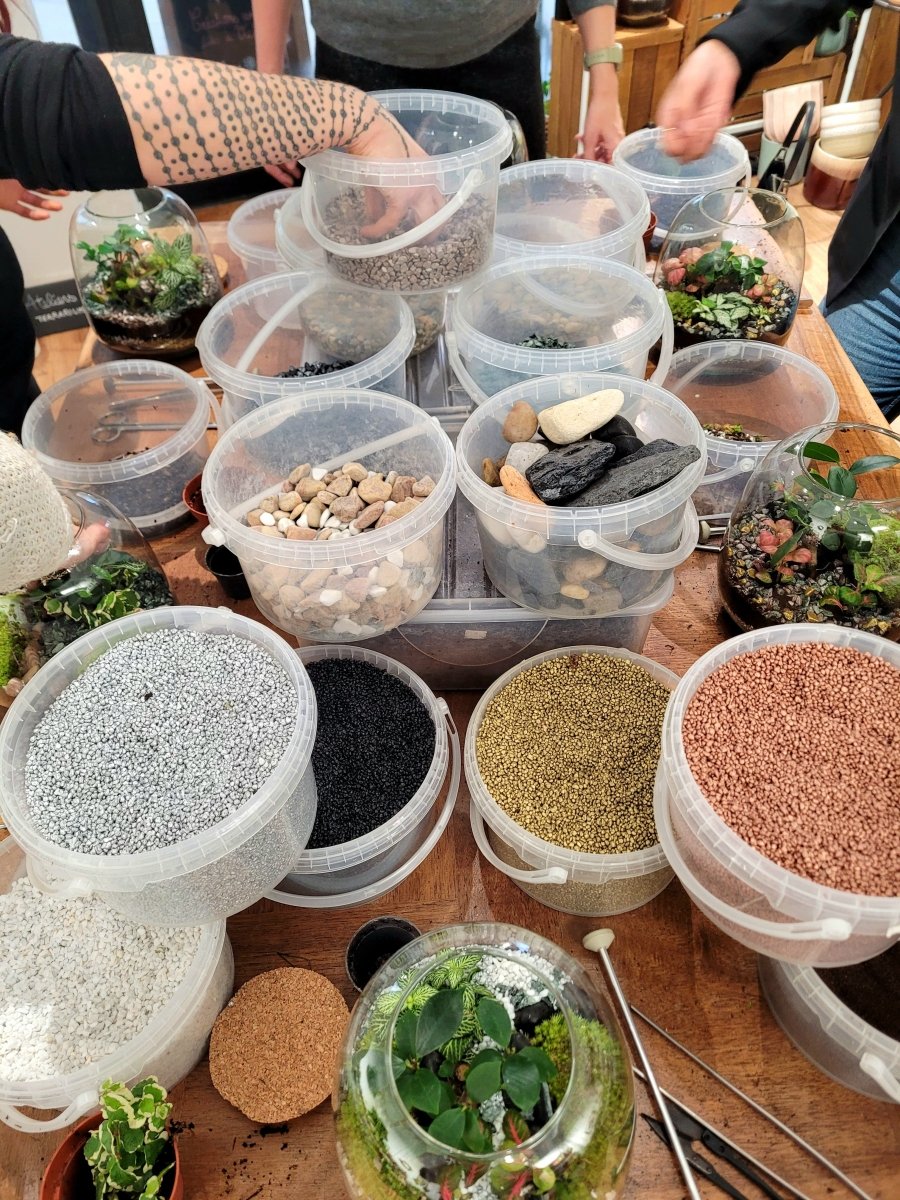 Atelier Terrarium Eden - Dimanche 27 Septembre 10h30-12h - shop_name artisanat Fait_main Fabriqué_en_france Création_unique