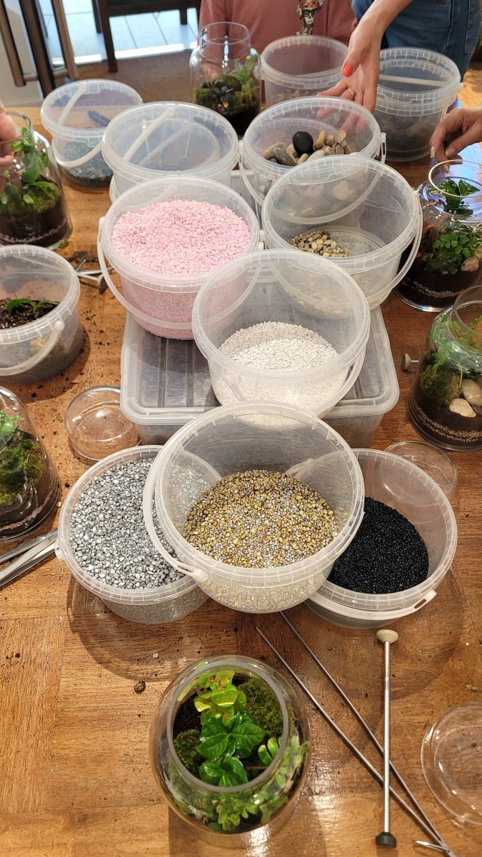 Atelier Terrarium Jardinarium - Samedi 26 Septembre 10h-11h30 - shop_name artisanat Fait_main Fabriqué_en_france Création_unique
