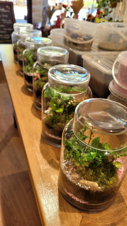 Atelier Terrarium Jardinarium - Samedi 26 Septembre 10h-11h30 - shop_name artisanat Fait_main Fabriqué_en_france Création_unique