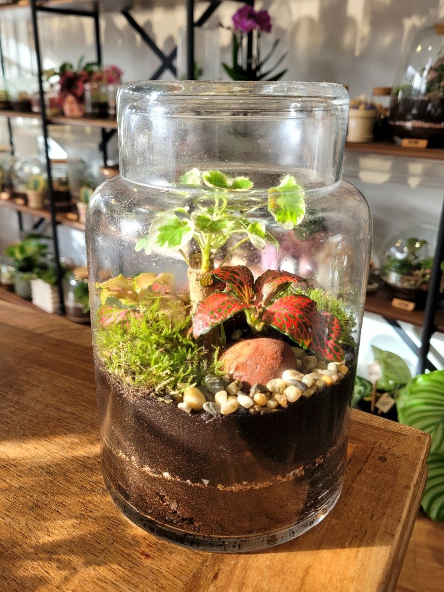 Atelier Terrarium Jardinarium - Samedi 26 Septembre 10h-11h30 - shop_name artisanat Fait_main Fabriqué_en_france Création_unique