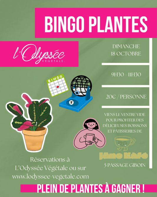 Bingo Plantes 🪴Dimanche 18 Octobre 9h30-11h30 - shop_name artisanat Fait_main Fabriqué_en_france Création_unique