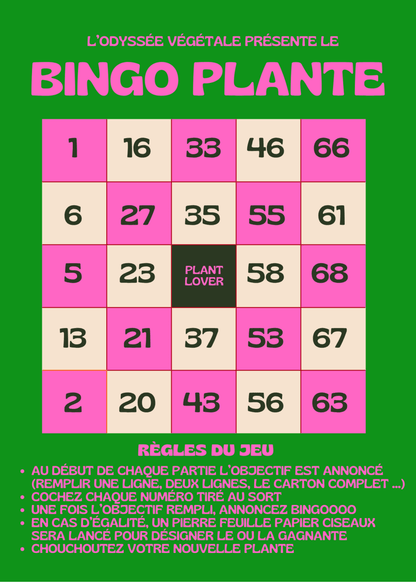 Bingo Plantes 🪴Dimanche 18 Octobre 9h30-11h30 - shop_name artisanat Fait_main Fabriqué_en_france Création_unique