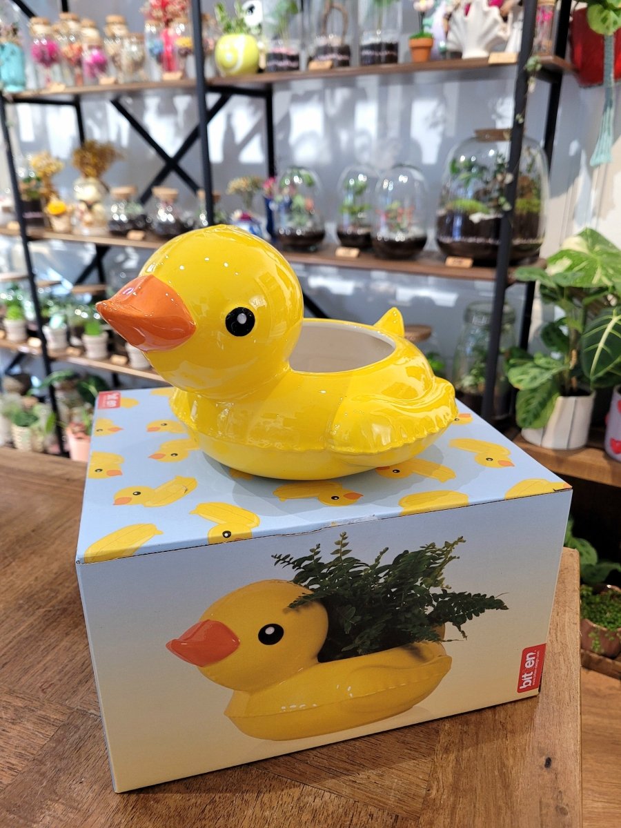 Cache-pot Canard gonflable - #shop_name #artisanat #Fait_main #Fabriqué_en_france #Création_unique
