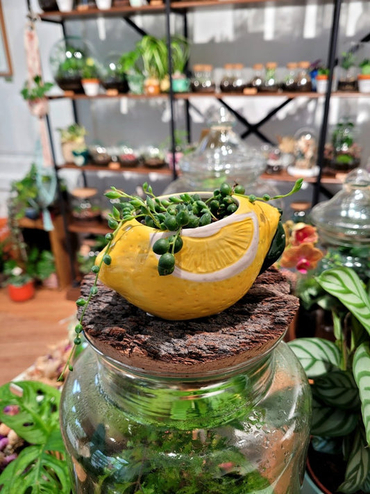 Cache - pot Citron - shop_name artisanat Fait_main Fabriqué_en_france Création_unique