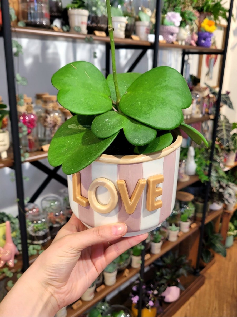Cache-pot Love - shop_name artisanat Fait_main Fabriqué_en_france Création_unique