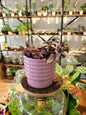 Cache - pot Pop (4 coloris) - shop_name artisanat Fait_main Fabriqué_en_france Création_unique