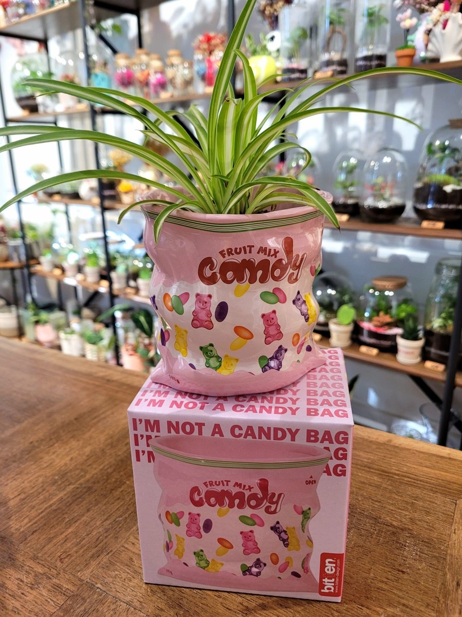 Cache-pot Sachet de Bonbons - #shop_name #artisanat #Fait_main #Fabriqué_en_france #Création_unique