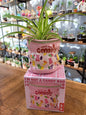 Cache-pot Sachet de Bonbons - #shop_name #artisanat #Fait_main #Fabriqué_en_france #Création_unique