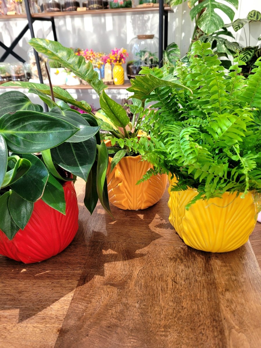 Cache - pot Trop Chou (3 coloris) - shop_name artisanat Fait_main Fabriqué_en_france Création_unique