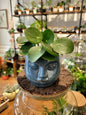 Cache - pot Visage (3 coloris) - shop_name artisanat Fait_main Fabriqué_en_france Création_unique