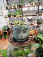 Cache - pot Visage (3 coloris) - shop_name artisanat Fait_main Fabriqué_en_france Création_unique