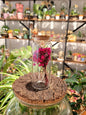 Fiole Fleurie - Fuchsia & Violet - shop_name artisanat Fait_main Fabriqué_en_france Création_unique