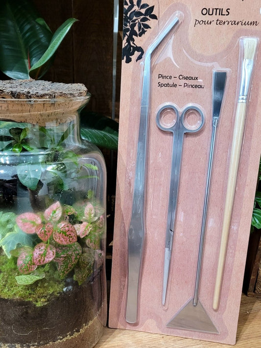 Kit d'accessoires pour Terrarium - shop_name artisanat Fait_main Fabriqué_en_france Création_unique