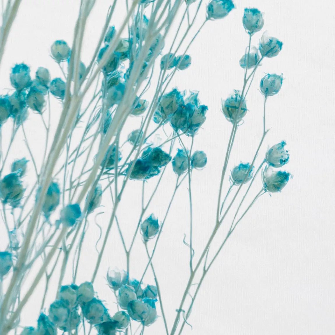 L'Herbarium de Théophile - Broom Bleu - shop_name artisanat Fait_main Fabriqué_en_france Création_unique