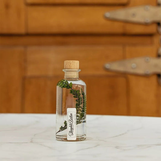 L'Herbarium de Théophile - Fougère Felci verte - Plante immergée - shop_name artisanat Fait_main Fabriqué_en_france Création_unique