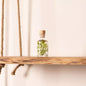 L'Herbarium de Théophile - Fougère Luthi verte - Plante immergée - shop_name artisanat Fait_main Fabriqué_en_france Création_unique