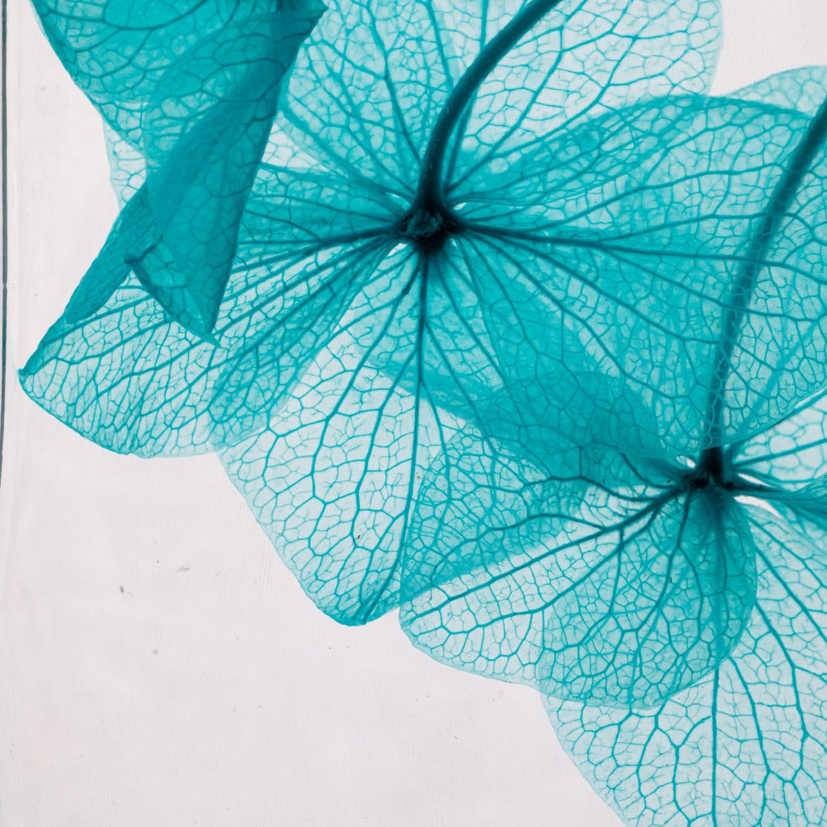L'Herbarium de Théophile - Hortensia Bleu - shop_name artisanat Fait_main Fabriqué_en_france Création_unique
