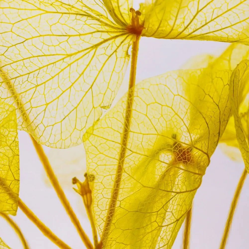 L'Herbarium de Théophile - Hortensia Jaune - shop_name artisanat Fait_main Fabriqué_en_france Création_unique
