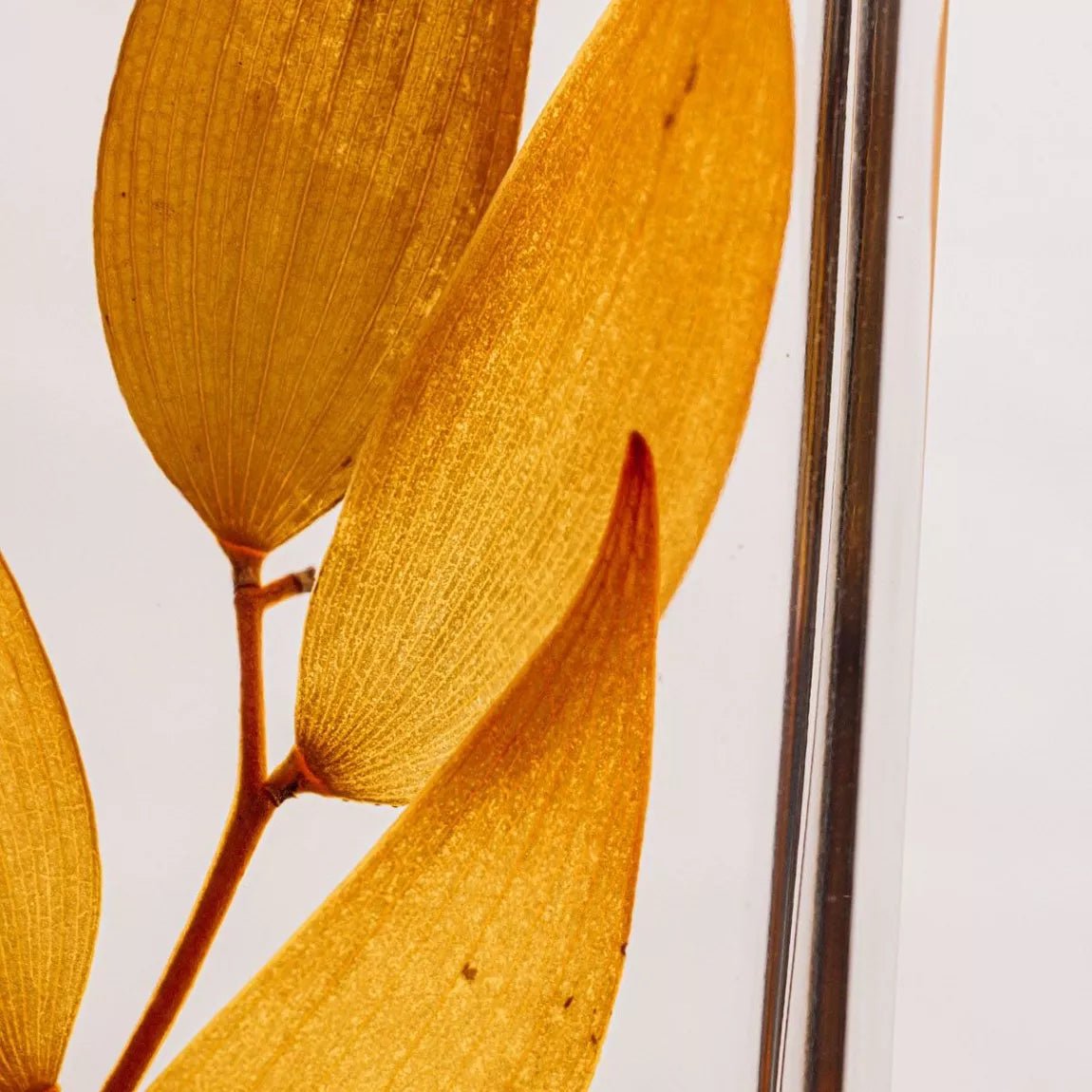 L'Herbarium de Théophile - Ruscus Jaune - shop_name artisanat Fait_main Fabriqué_en_france Création_unique