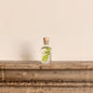 L'Herbarium de Théophile - Ruscus vert acidulé - shop_name artisanat Fait_main Fabriqué_en_france Création_unique