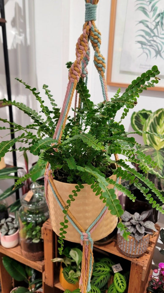 Macramé Arc en ciel - shop_name artisanat Fait_main Fabriqué_en_france Création_unique