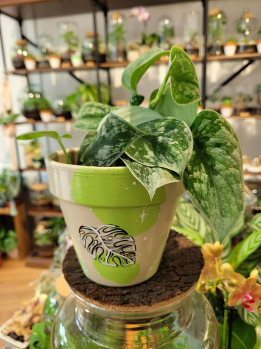Pot Edition limitée Monstera Variegata - MadeWithMyTentacles - shop_name artisanat Fait_main Fabriqué_en_france Création_unique