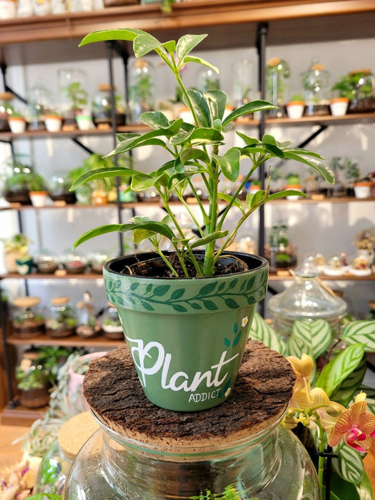 Pot PLANTADDICT (Peint à la main) - MadeWithMyTentacles - shop_name artisanat Fait_main Fabriqué_en_france Création_unique