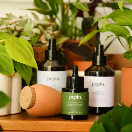 Routine Plantcare - Pepin - shop_name artisanat Fait_main Fabriqué_en_france Création_unique