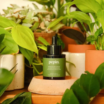 Sérum nourrissant - Plantes Vertes - shop_name artisanat Fait_main Fabriqué_en_france Création_unique